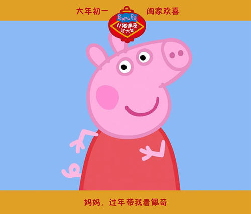 印度护照电子版假的多少钱